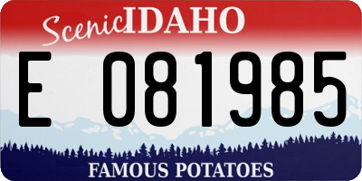 ID license plate E081985