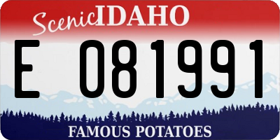 ID license plate E081991