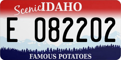 ID license plate E082202