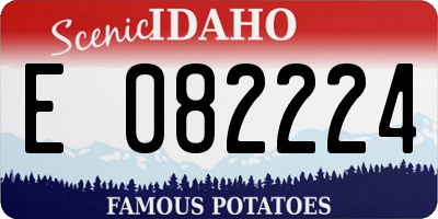 ID license plate E082224