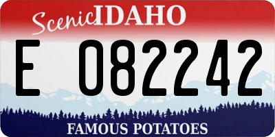 ID license plate E082242