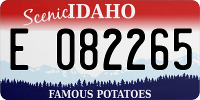 ID license plate E082265