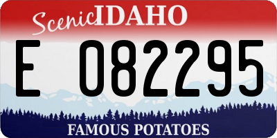ID license plate E082295