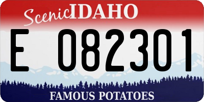 ID license plate E082301