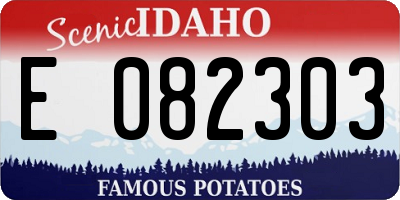 ID license plate E082303