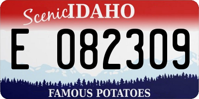 ID license plate E082309