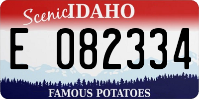 ID license plate E082334