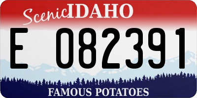 ID license plate E082391
