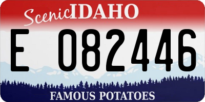 ID license plate E082446