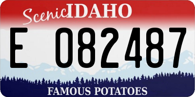 ID license plate E082487