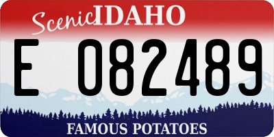 ID license plate E082489