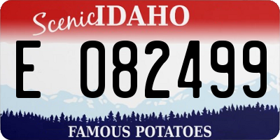 ID license plate E082499