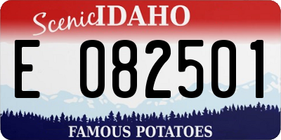 ID license plate E082501