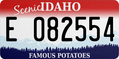 ID license plate E082554