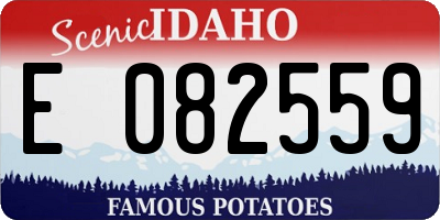 ID license plate E082559