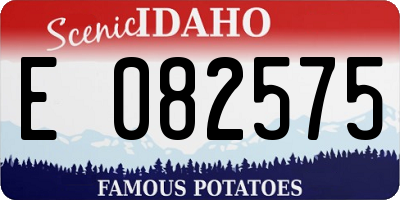 ID license plate E082575