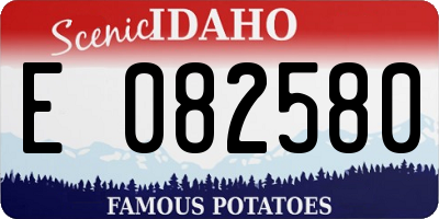 ID license plate E082580