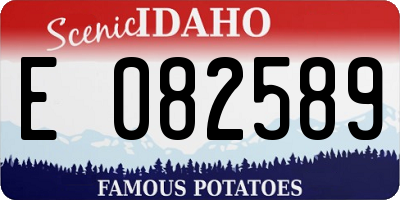 ID license plate E082589