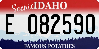 ID license plate E082590
