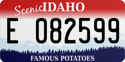 ID license plate E082599