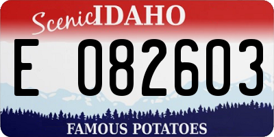 ID license plate E082603