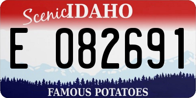 ID license plate E082691