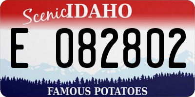 ID license plate E082802