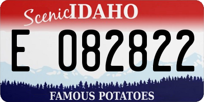 ID license plate E082822