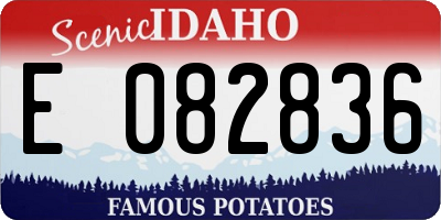 ID license plate E082836