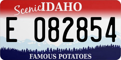 ID license plate E082854