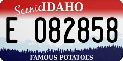 ID license plate E082858