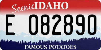 ID license plate E082890