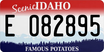 ID license plate E082895