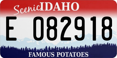 ID license plate E082918