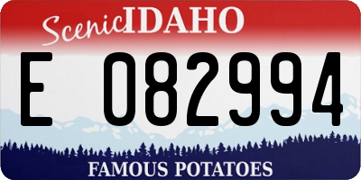 ID license plate E082994