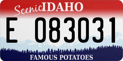 ID license plate E083031