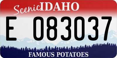 ID license plate E083037