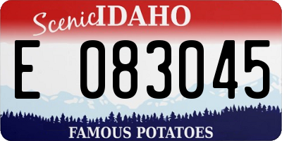 ID license plate E083045