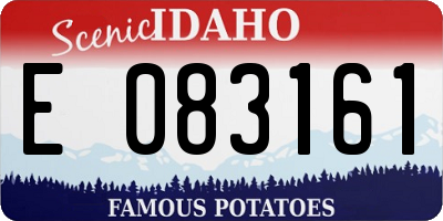 ID license plate E083161
