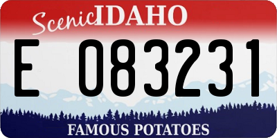 ID license plate E083231