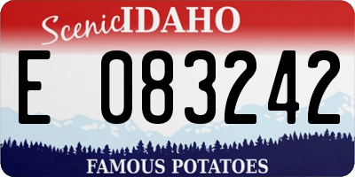 ID license plate E083242