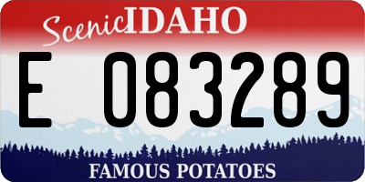 ID license plate E083289