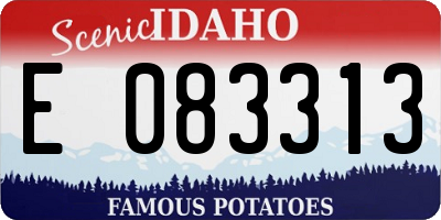 ID license plate E083313