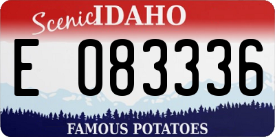 ID license plate E083336