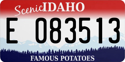 ID license plate E083513