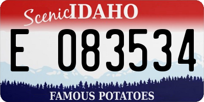 ID license plate E083534