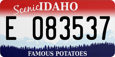 ID license plate E083537