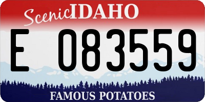 ID license plate E083559