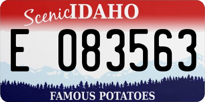 ID license plate E083563