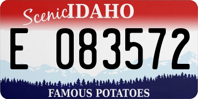ID license plate E083572